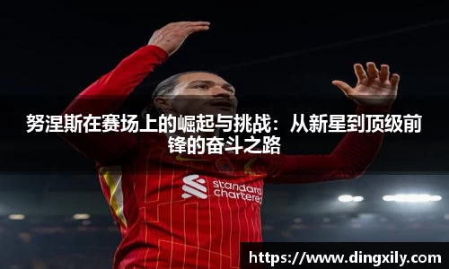努涅斯在赛场上的崛起与挑战：从新星到顶级前锋的奋斗之路