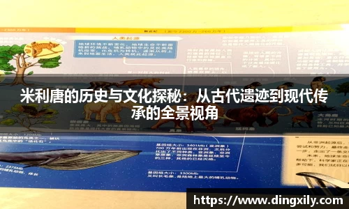 星空·综合体育中国官网